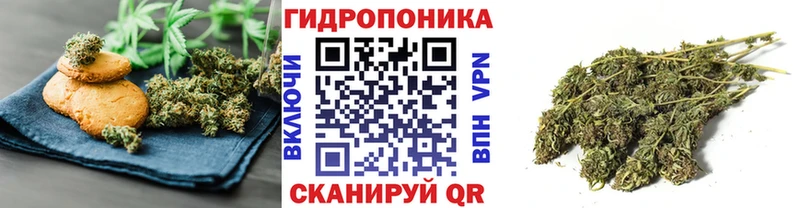 Cannafood конопля  Вяземский 