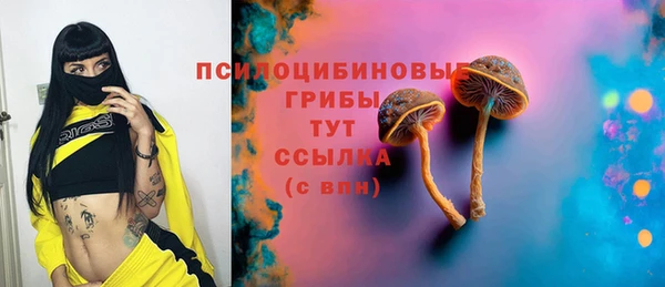 амф Верхний Тагил