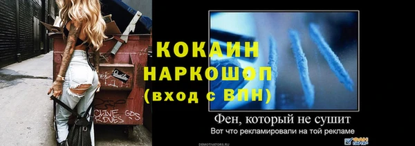 винт Верея