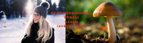 сатива Верхнеуральск