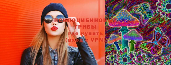 винт Верея