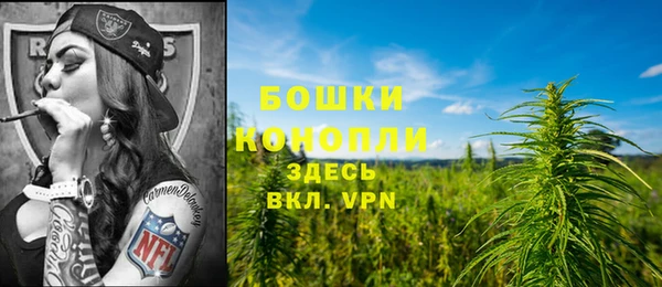 сатива Верхнеуральск