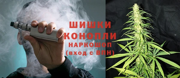 сатива Верхнеуральск