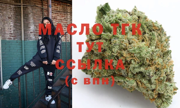 амф Верхний Тагил