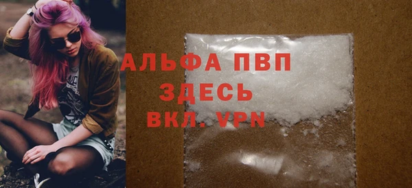 амф Верхний Тагил