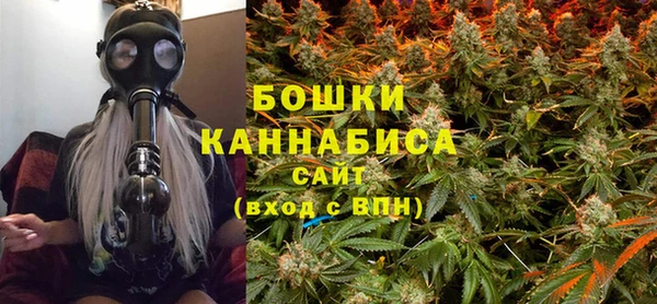 амф Верхний Тагил