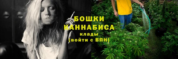 амф Верхний Тагил