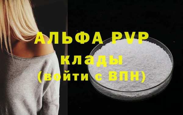 амф Верхний Тагил