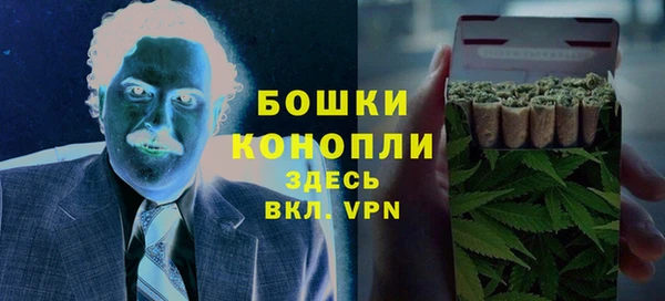 амф Верхний Тагил