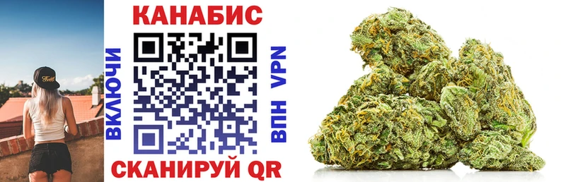 MEGA ссылка  Вяземский  Конопля план 